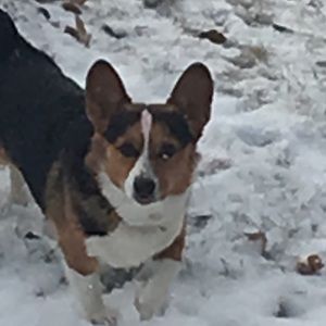 Meet your Posher, Shaelen